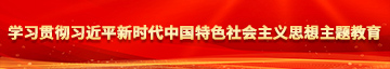 黑人插中国女人屄视频学习贯彻习近平新时代中国特色社会主义思想主题教育